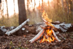 Herbstliches Ritual in der Natur - so geht Selbstverwirklichung.
