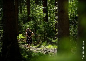 Work-Life-Balance braucht Natur